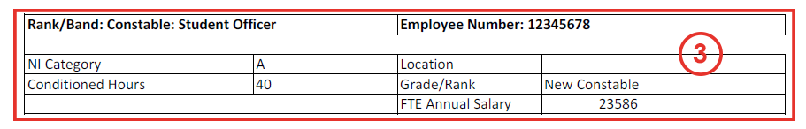 Payslip Section 3